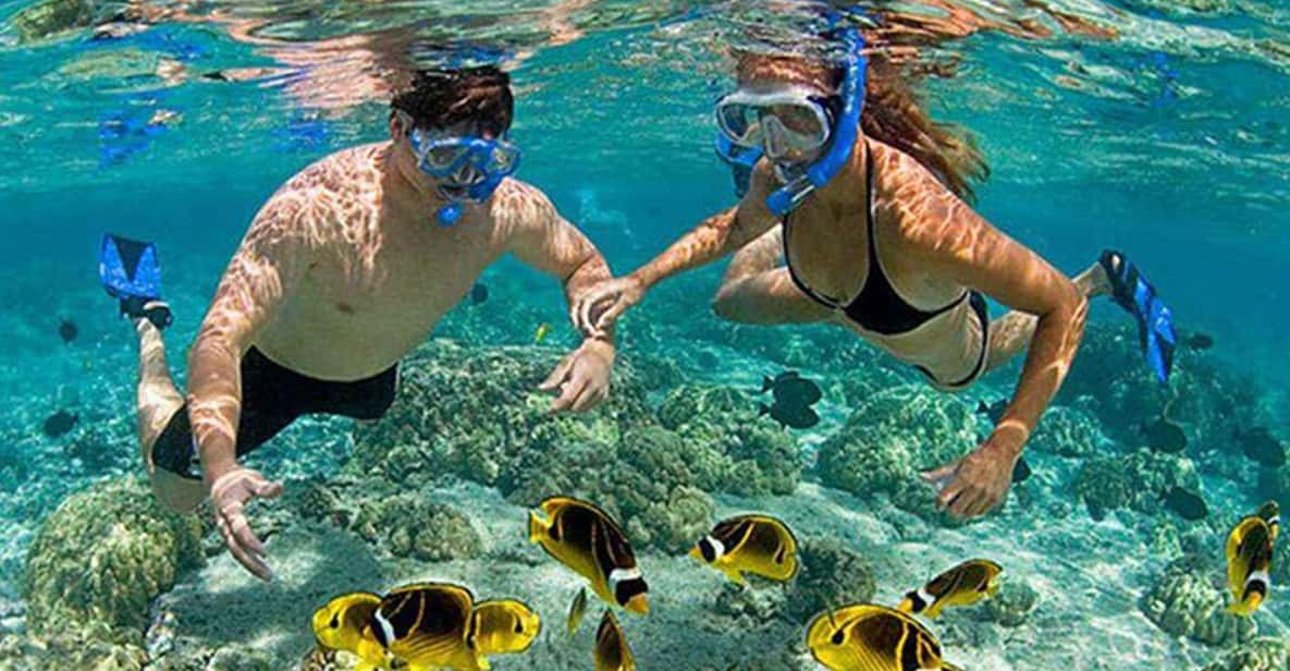 Amazing Snorkeling at Cham Island - Cham Island from Cua Dai: how the day starts