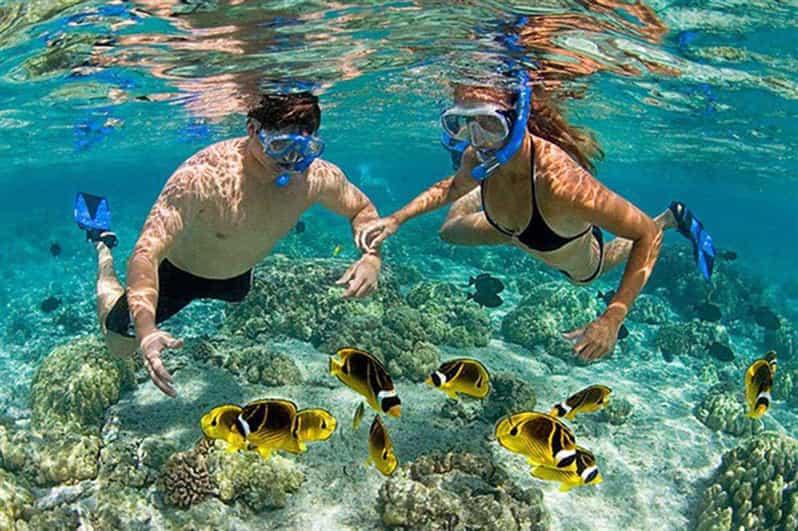 Amazing Snorkeling at Cham Island - What to bring (and what not to wear) so you don’t get turned away