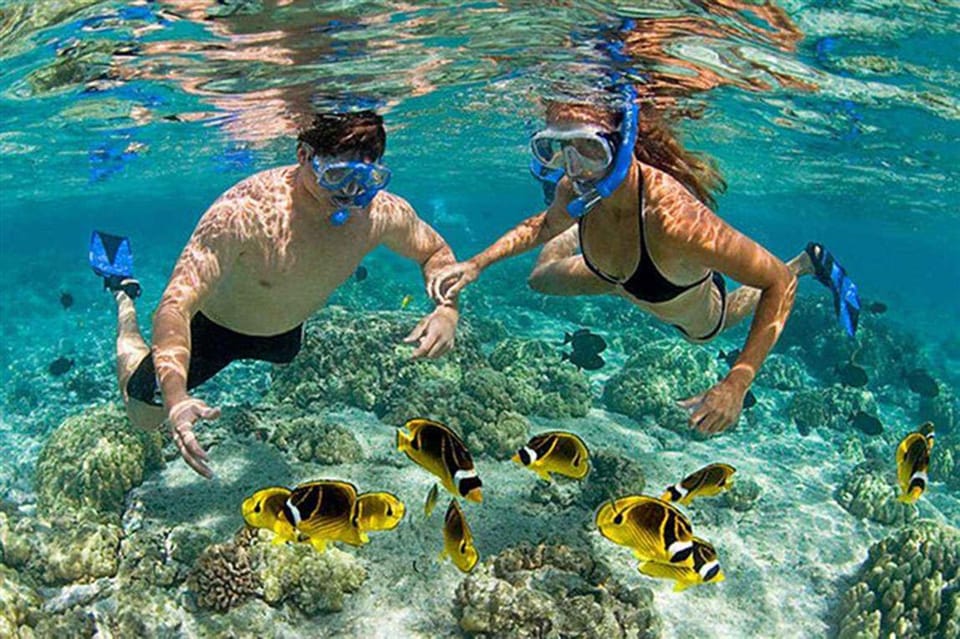 Amazing Snorkeling at Cham Island - Should you book Amazing Snorkeling at Cham Island?