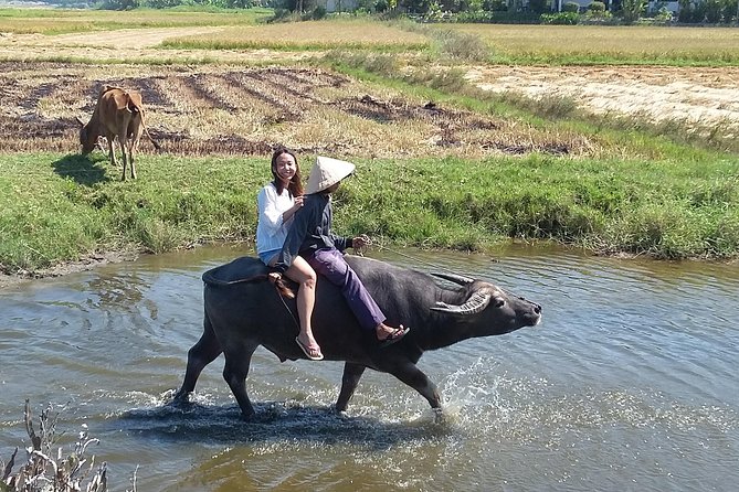 Buffalo Riding and basket boat tour from Da Nang/ Hoi An - Buffalo Riding and basket boats: what you’re really buying