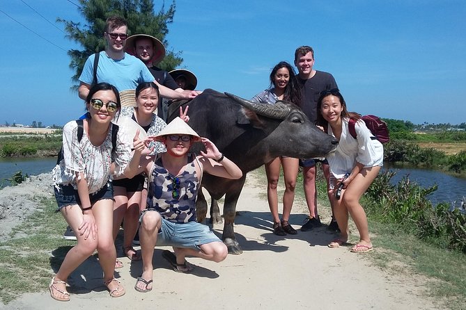 Buffalo Riding and basket boat tour from Da Nang/ Hoi An - Transfers and small-group comfort from Da Nang hotels