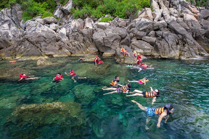 Cham Island Day Tour & Snorkeling from Da Nang with Group tour - What to watch out for: boat crowding and comfort on group days