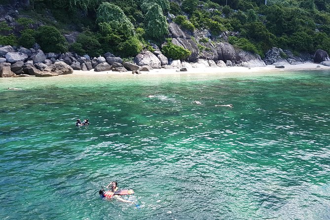 Cham Islands Snorkeling Tour by SpeedBoat from Da Nang - Snorkeling Cu Lao Chàm: Fish, Reefs, and the Reality of Visibility