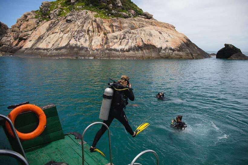 Cham Islands Snorkeling Tour by Speedboat : Hoi An/Da Nang - Key Highlights at a Glance