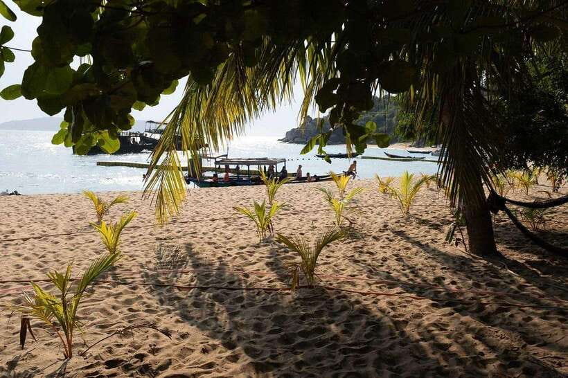 Cham Islands Snorkeling Tour by Speedboat : Hoi An/Da Nang - Cham Islands by Speedboat: The Morning Ride from Da Nang or Hoi An