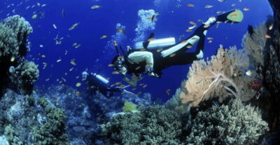 Cham Islands Snorkeling Tour by Speedboat : Hoi An/Da Nang - Lang Beach, the Marine Protected Area, and Island Stops That Feel Real