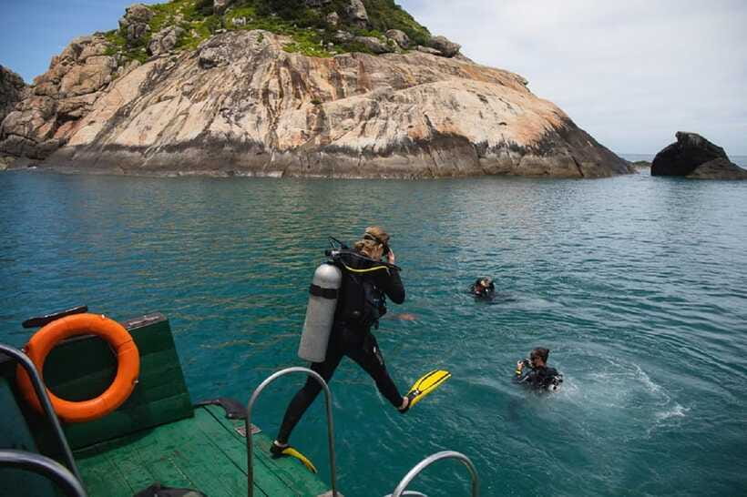 Cham Islands Snorkeling Tour by Speedboat : Hoi An/Da Nang - Should You Book Cham Islands Snorkeling by Speedboat?