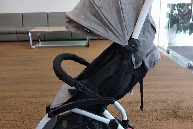 Da Nang Baby Stroller/Safety Car Seating or Wheel Chair Rental - Should you book this stroller or wheelchair rental?
