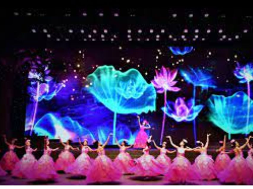 Da Nang Charming Show Viet Nam - Meet the performers: why “national artists” changes the vibe