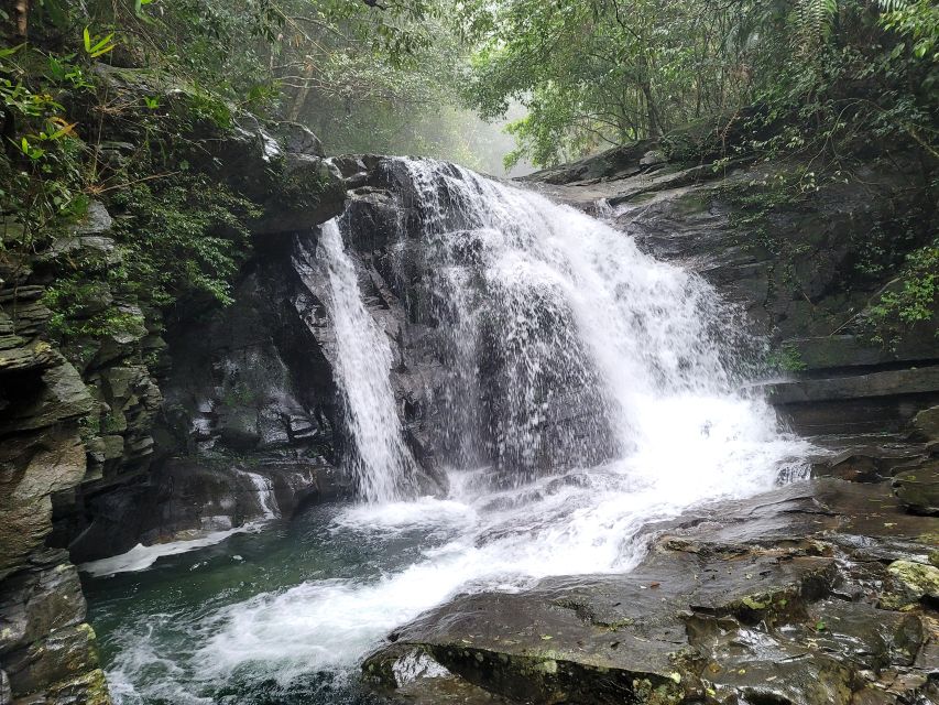 Da Nang/Hoi An to Hue via Bach Ma National Park Trekking - Entering Bach Ma: small group, guided, and well-timed