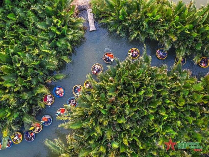 Da Nang: Marble Mountains, Hoi An, and Coconut Forest Tour - Getting Oriented: Da Nang Pickup and a Full 8-Hour Rhythm