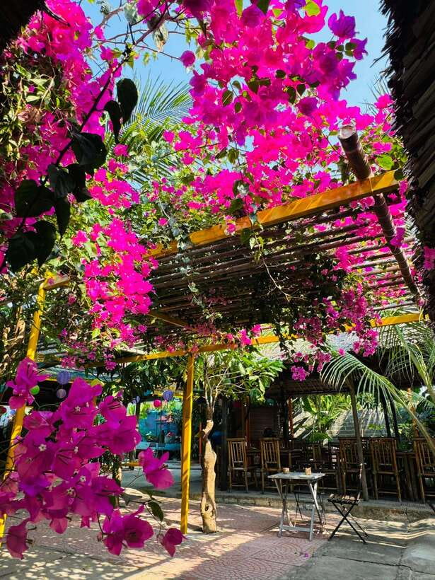 Da Nang: Marble Mountains, Hoi An, and Coconut Forest Tour - Coconut Forest in Cam Thanh: Basket Boats, Fishermen Stories, and a Funny Competitive Edge