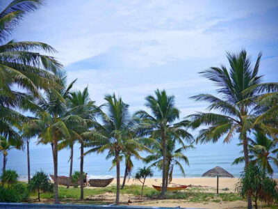 Da Nang : Private Car to Hue with Multi Sightseeing Stops - Hai Van Pass: The 21 Kilometers Everyone Should Experience