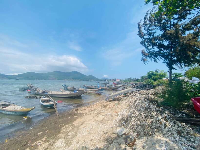 Da Nang : Private Day Trip to Imperial City - Hue - Should you book this Da Nang to Hue private day trip?