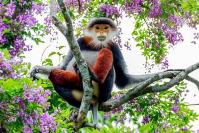 Explore Son Tra Peninsula, Monkey Mountain, Lady Buddha half-day - Getting on the Road: 8:00 Pickup and a Real Half-Day