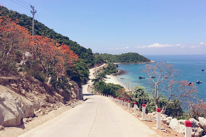 From Da Nang/ Hoi An: Cham Island Day Tour with snorkeling fun - Getting there by speed boat: comfort versus convenience