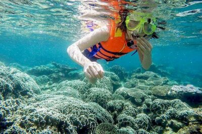 From Da Nang/ Hoi An: Cham Island Day Tour with snorkeling fun - Hon Lao Island beach time: swimming and lunch on the same schedule