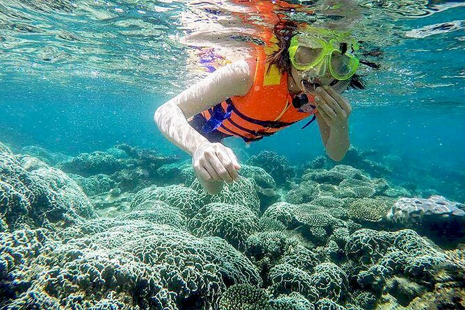 From Da Nang/ Hoi An: Cham Island Day Tour with snorkeling fun - Hon Lao Island beach time: swimming and lunch on the same schedule