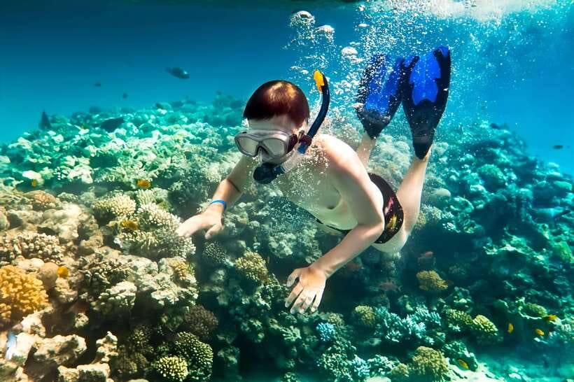 From Da Nang/Hoi An: Cham Islands Tour with Snorkeling - Where this Cham Islands tour starts (and why it matters)