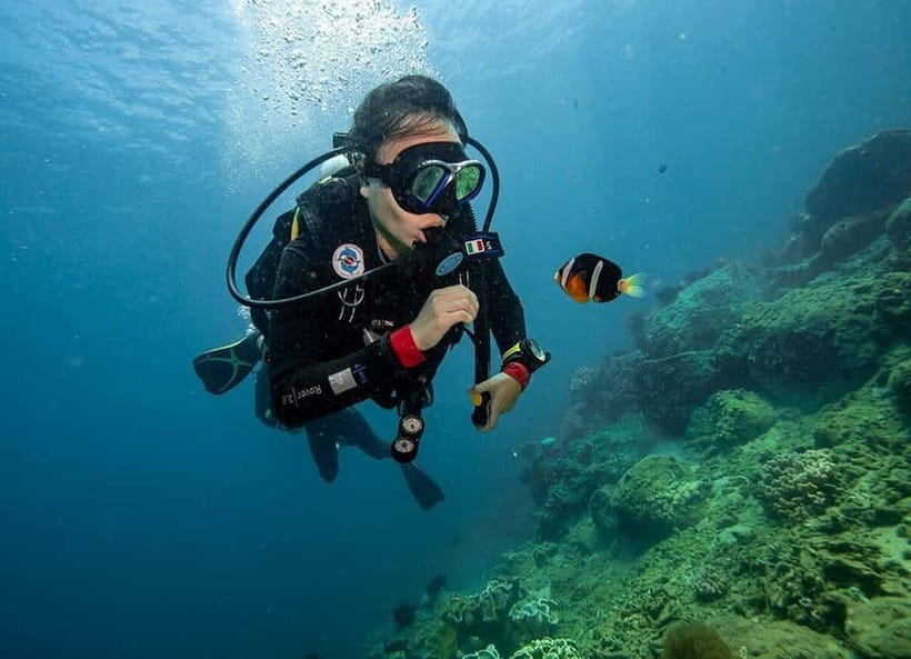 From Da Nang/Hoi An: Cham Islands Tour with Snorkeling - Seafood lunch and the best kind of post-snorkel recovery