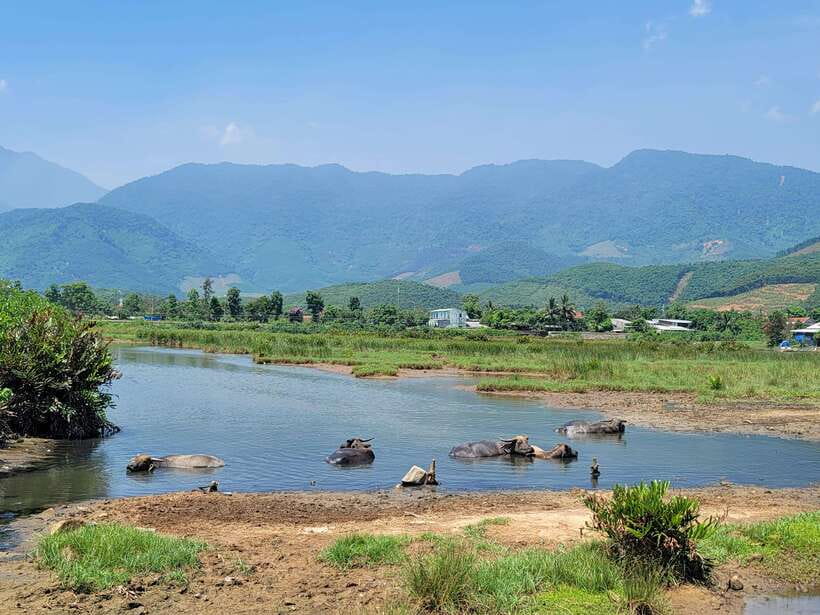 From Hoi An: Hai Van Pass Loop Tour By Easyrider - What to bring so the day feels easy, not annoying