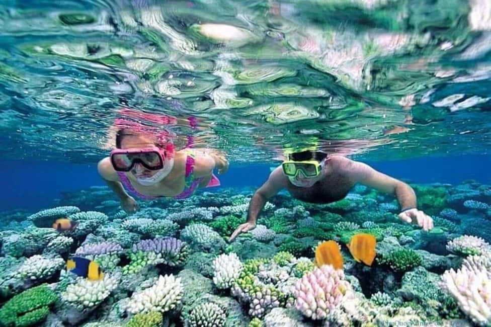 Hoi An/Da Nang: Cham Islands Snorkeling by Speedboat w Lunch - Key highlights to know before you go
