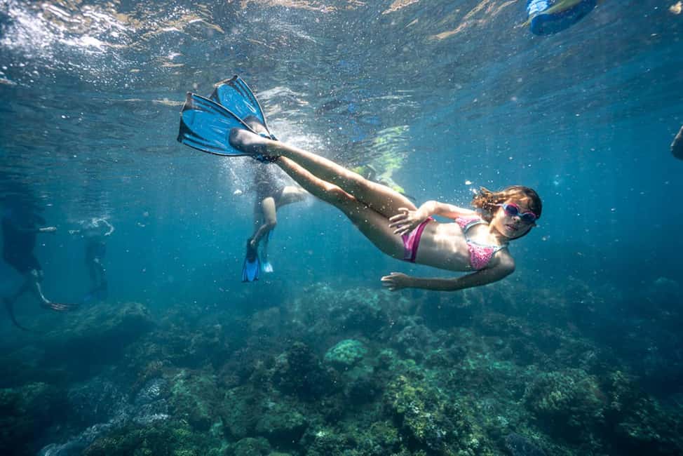 Hoi An/Da Nang: Cham Islands Snorkeling by Speedboat w Lunch - Group size, guides, and why small-group matters here