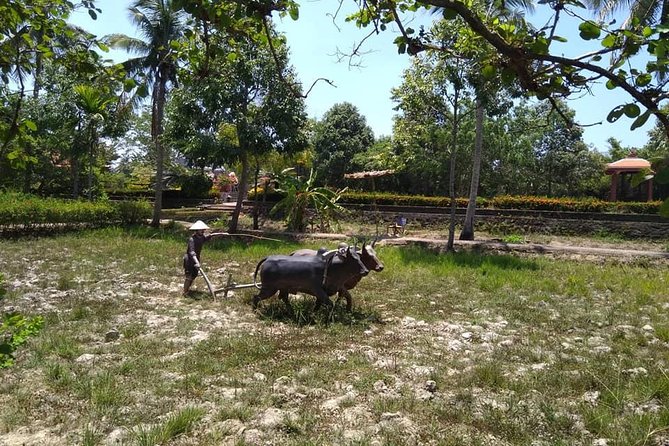 MY LAI MASSACRE Tour from Hotel in Da Nang City or Hoi An City ( Private Tour ) - Who this tour is best for (and who might reconsider)