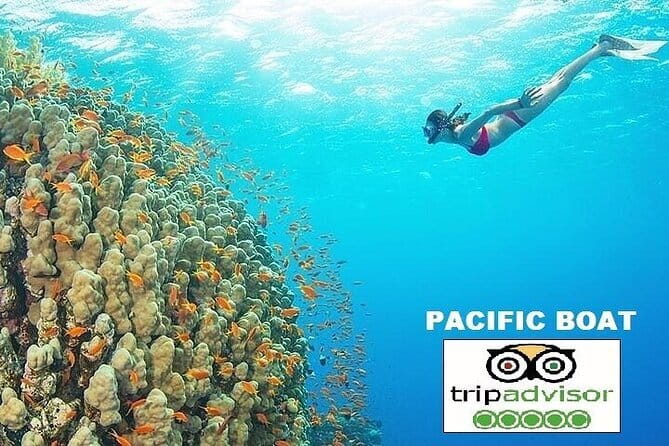 MY SON SANCTUARY PRIVATE TOUR Morning or Afternoon - Should you book this My Son Sanctuary private tour?